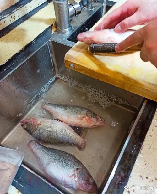 佐尔克:不提前结束雷尼尔的租借 但会听听看法 佐尔克:不提前结束雷尼尔的租借 但会听听看法